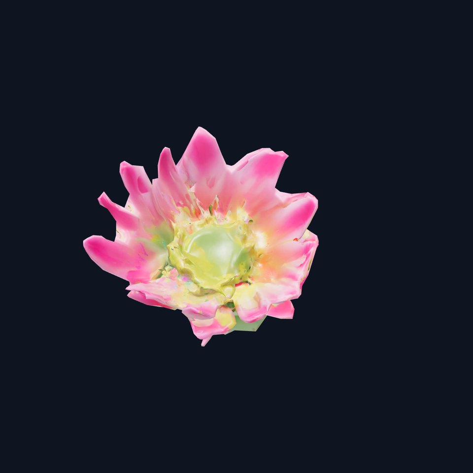 Colorful Cactus Flower model pack